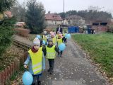 Światowy dzień walki z cukrzycą, 